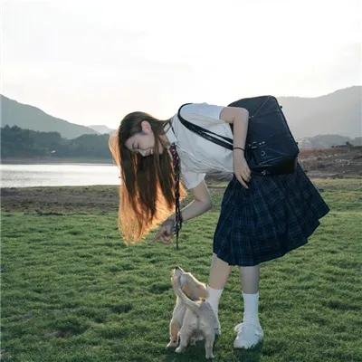 洋芋书记